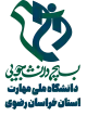 نشان بسیج دانشجویی